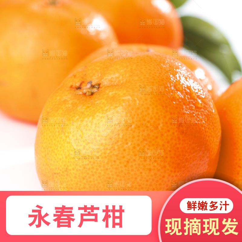 白底上的芦柑