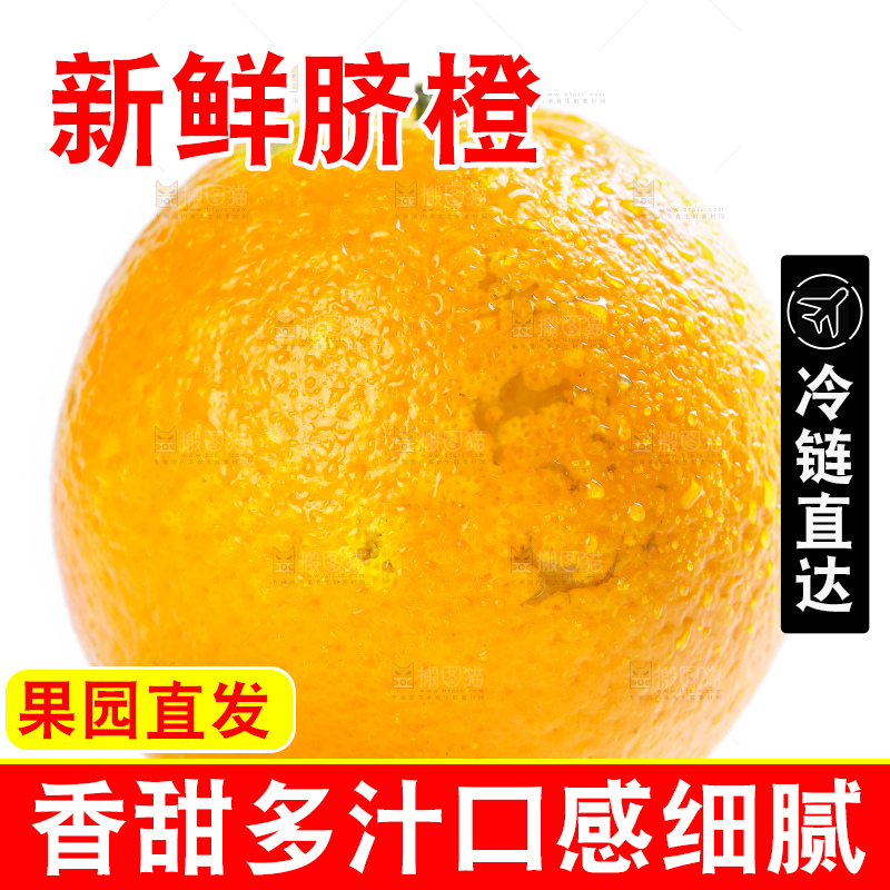 白底上的高山甜橙
