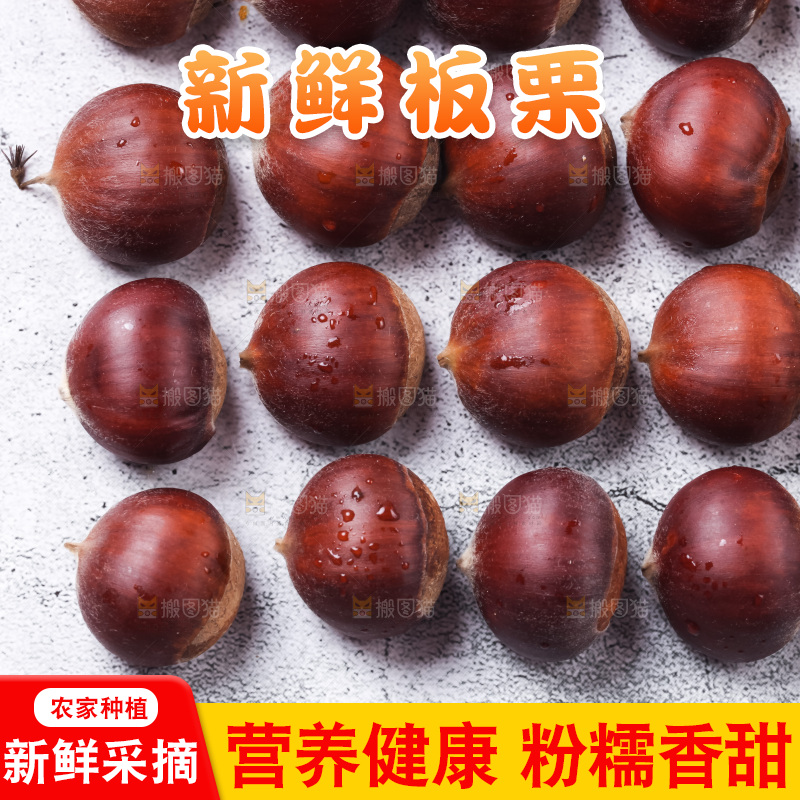 浅底上放着毛栗子