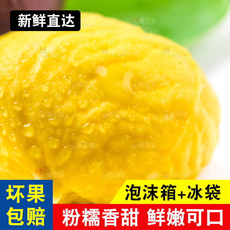 白底上放着迁西板栗
