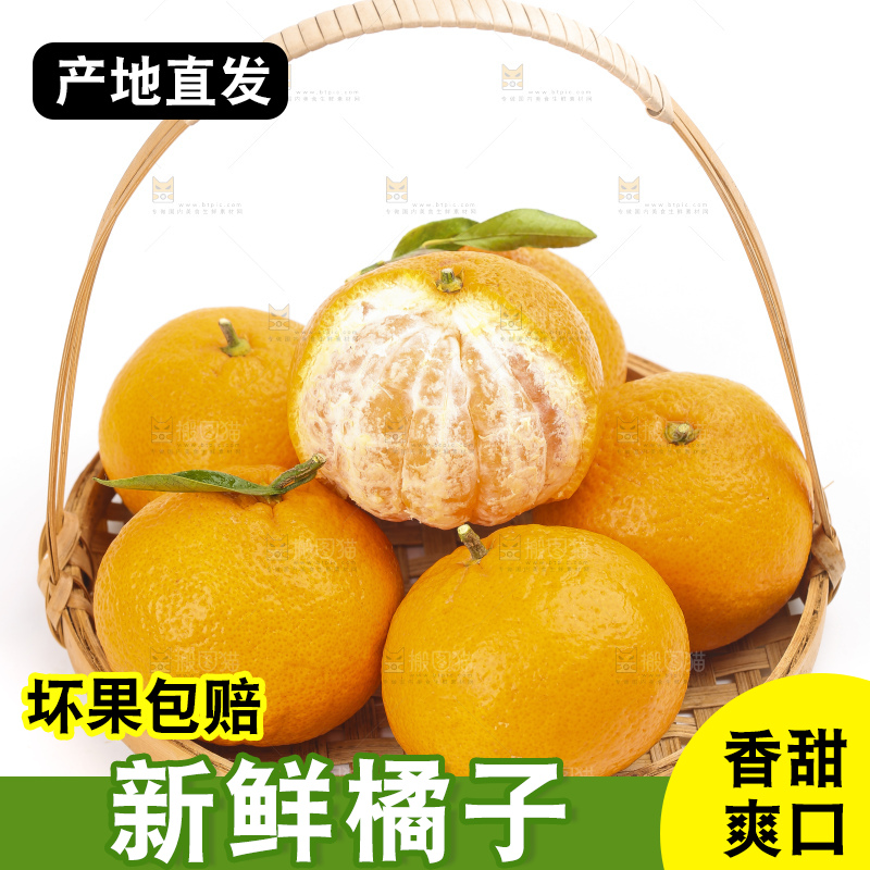 白底上的椪柑橘