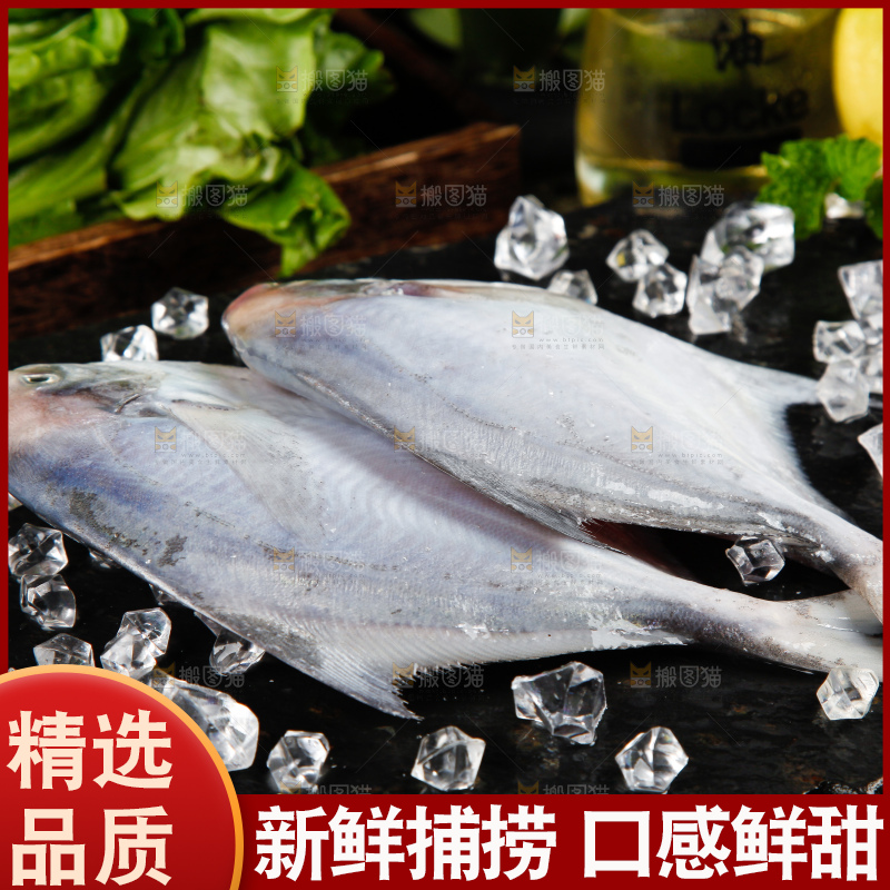 深底上放着银鲳鱼