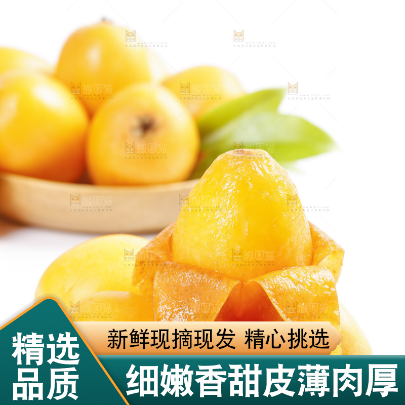白底上的米易枇杷