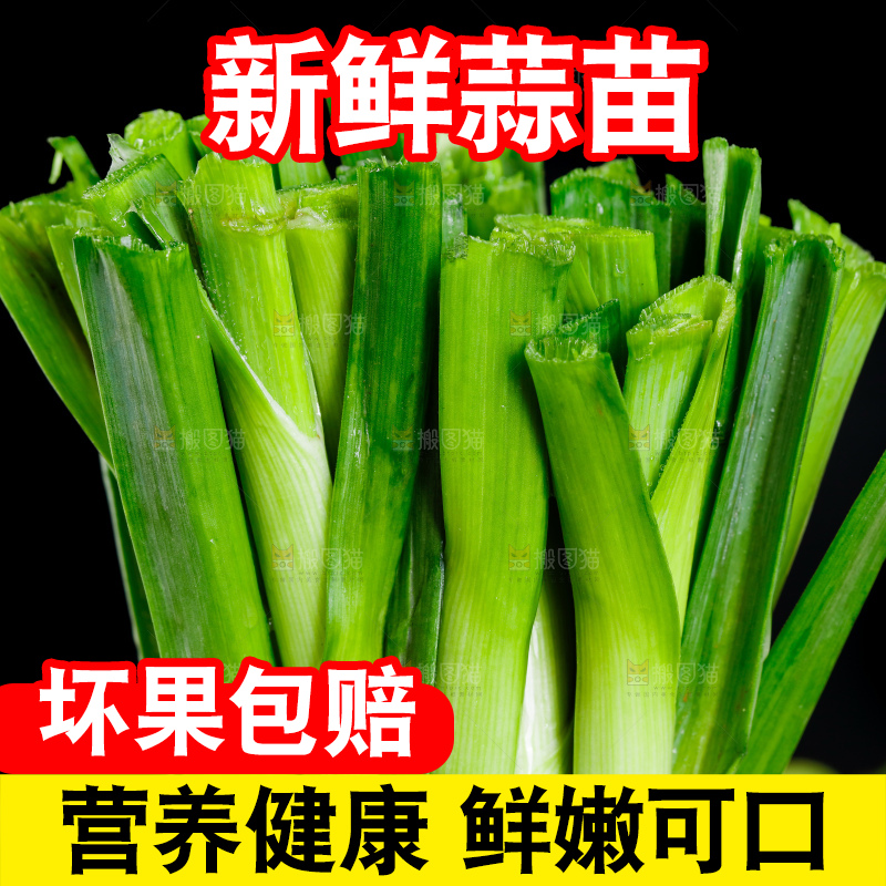 深底上的蒜苗