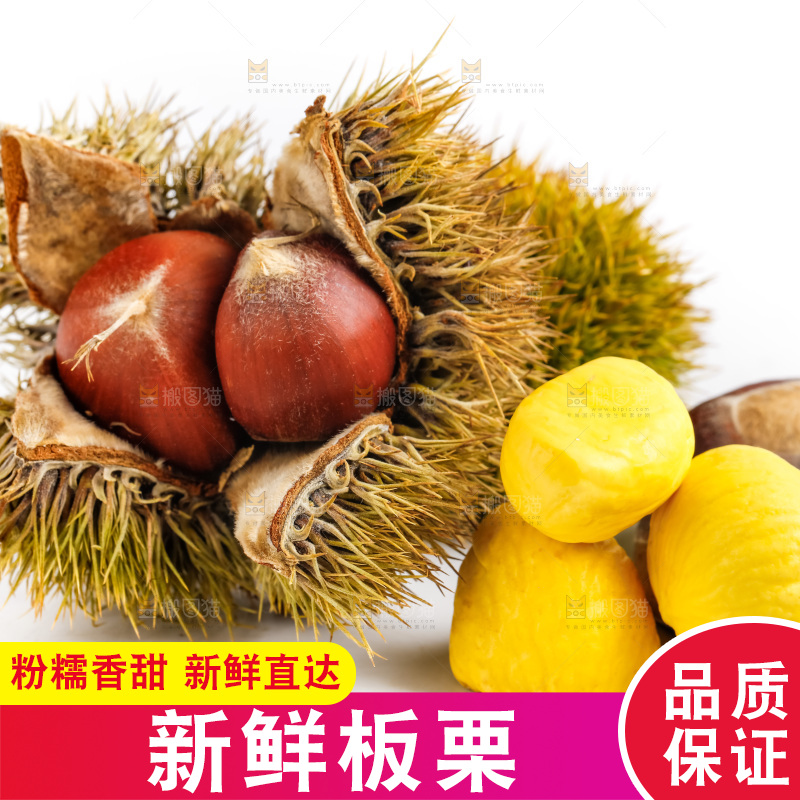 白底上放着生板栗