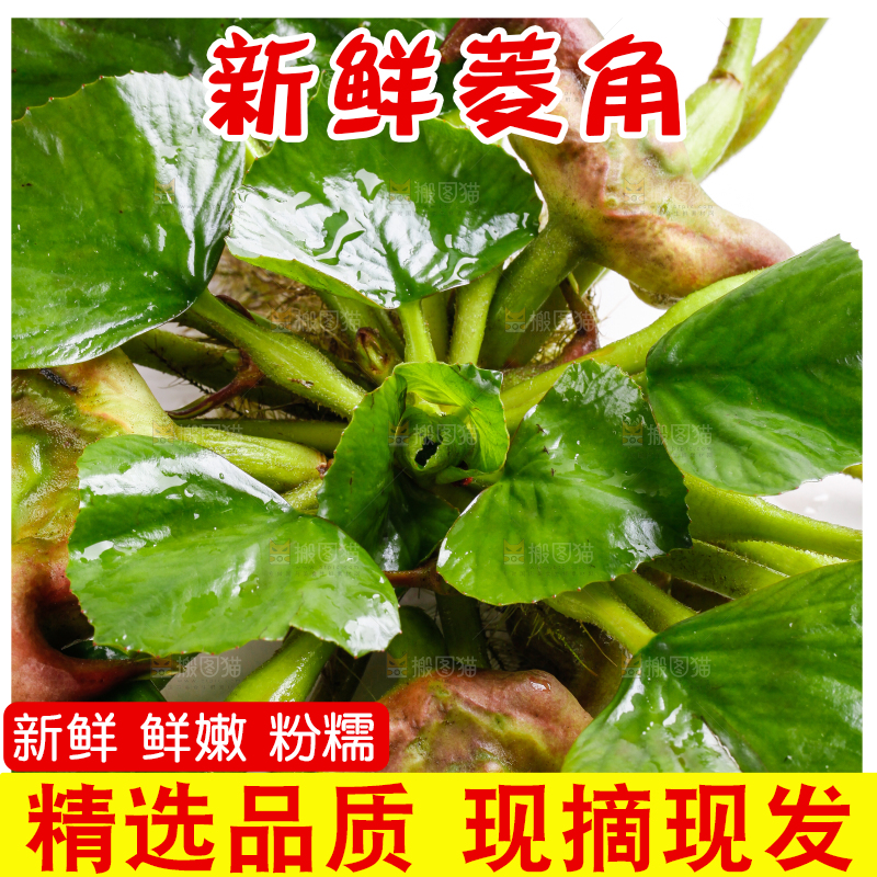 浅底上放着洪湖菱角