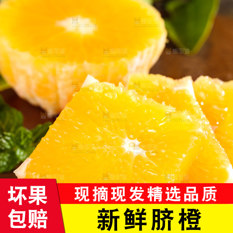 黄板子上的脐橙