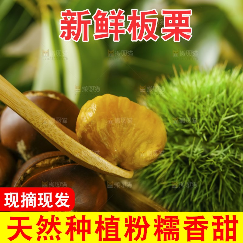深底上放着生板栗