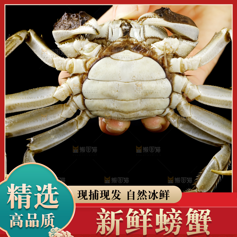 手里拿着鲜活螃蟹