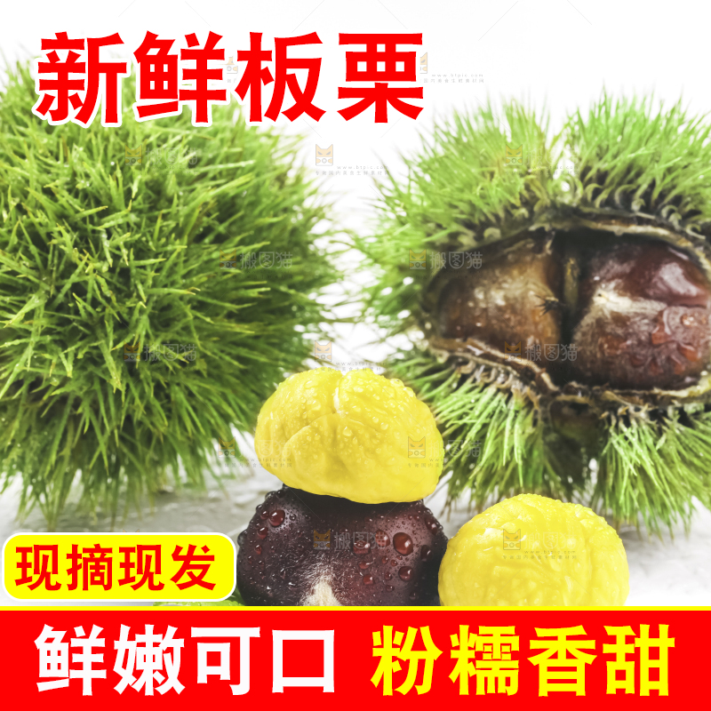 白底上的板栗