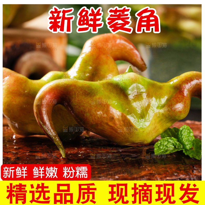 深底上的菱角