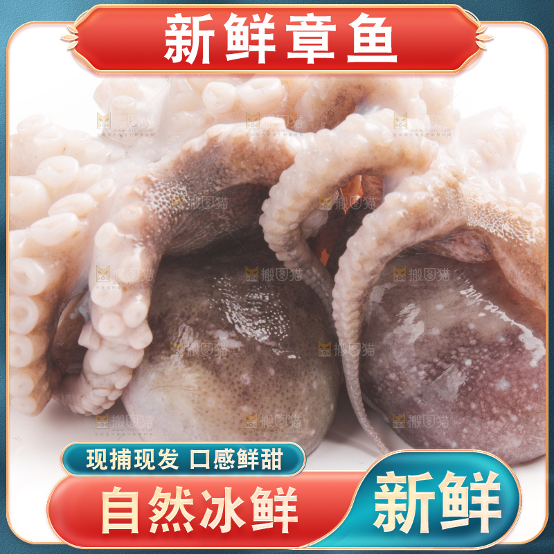 盘子里的大连章鱼