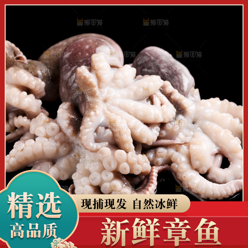 黑底上放着大连章鱼