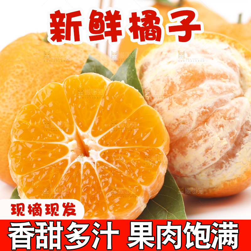 白底上的椪柑橘