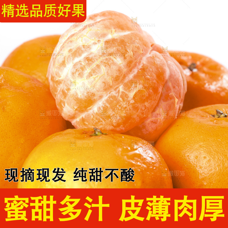 白底上放着椪柑