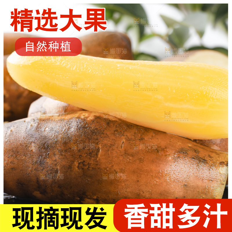 石板上放着地参果