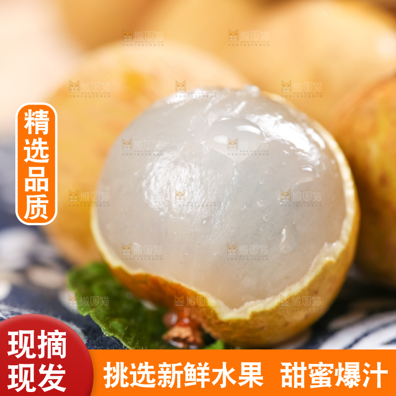 浅底上的广东龙眼