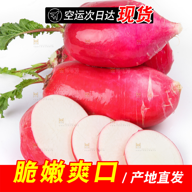 白底上的红萝卜