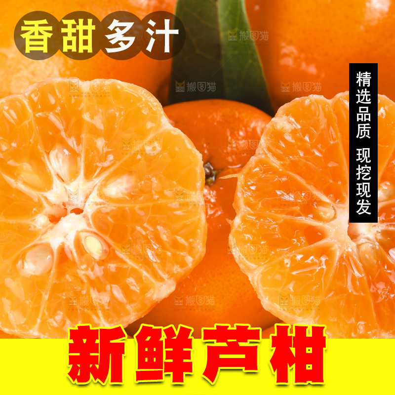 白底上放着椪柑