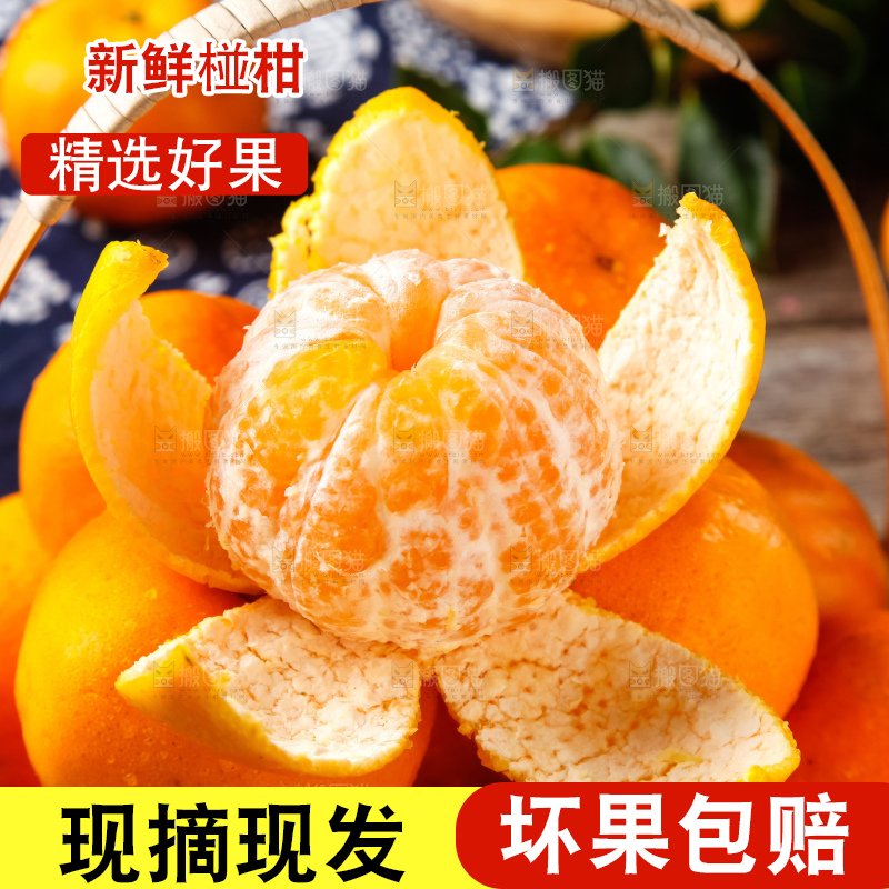 篮子里的广西椪柑