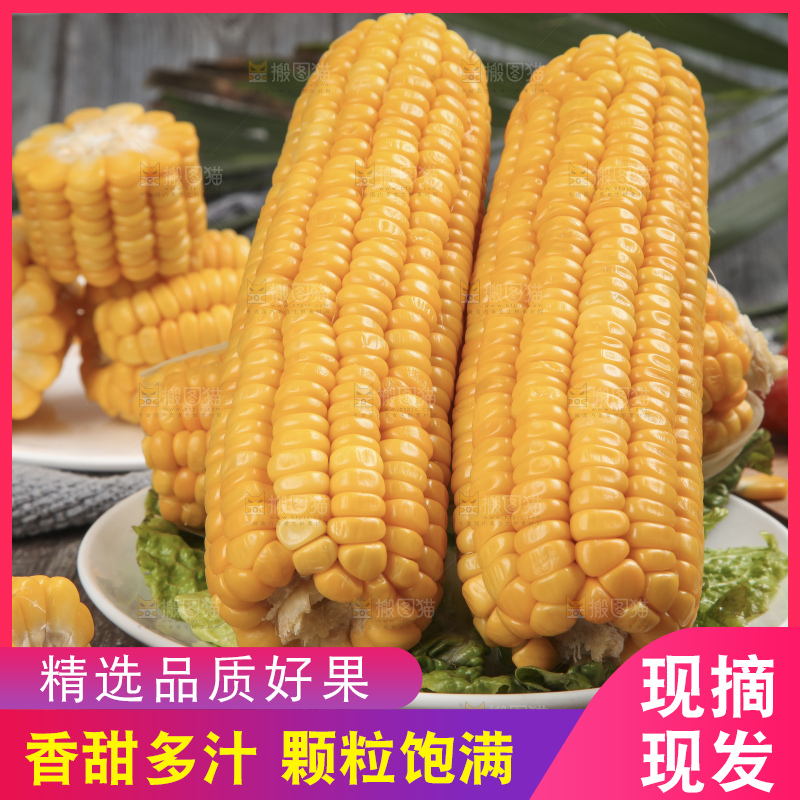 木底上放着一盘黄玉米