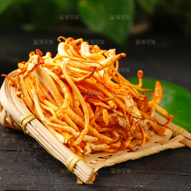 深底上的虫草花