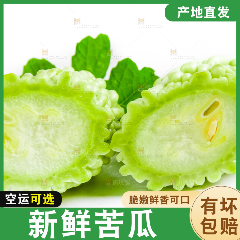 白底上摆放着新鲜苦瓜