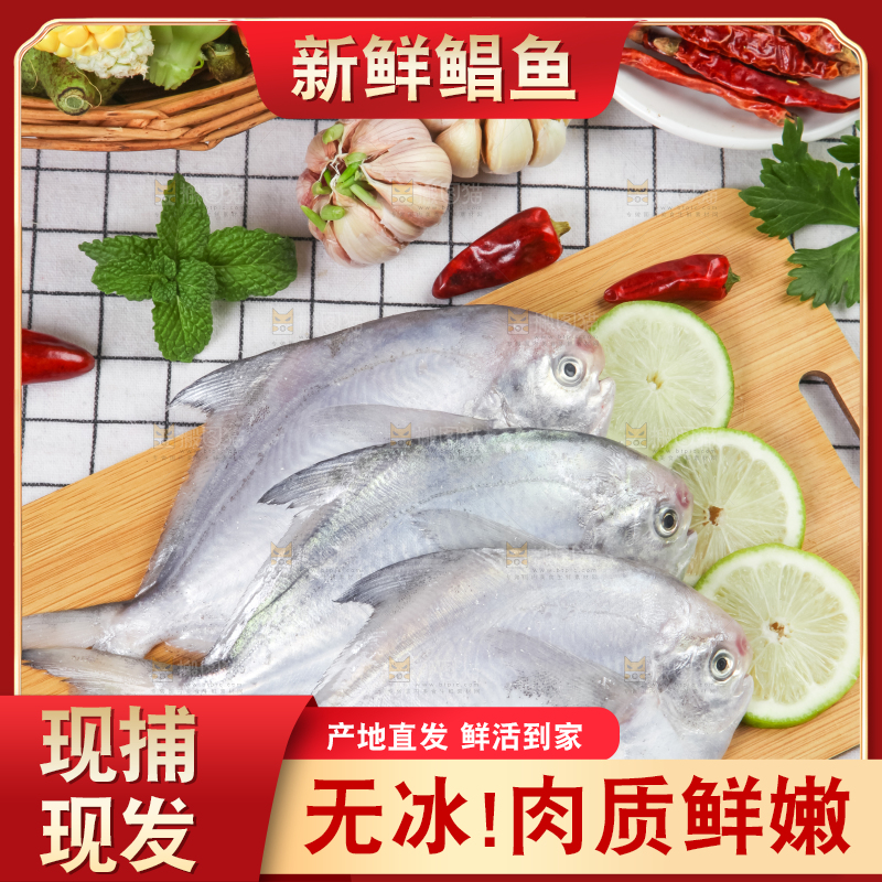 木板上放着银鲳鱼
