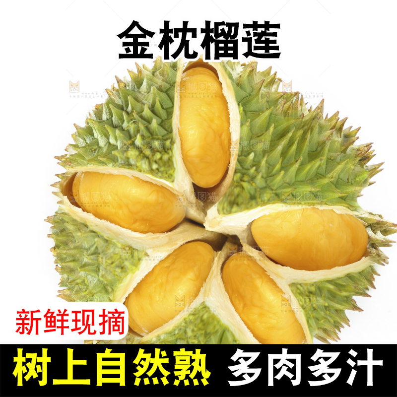 白底上放着泰国金枕榴莲
