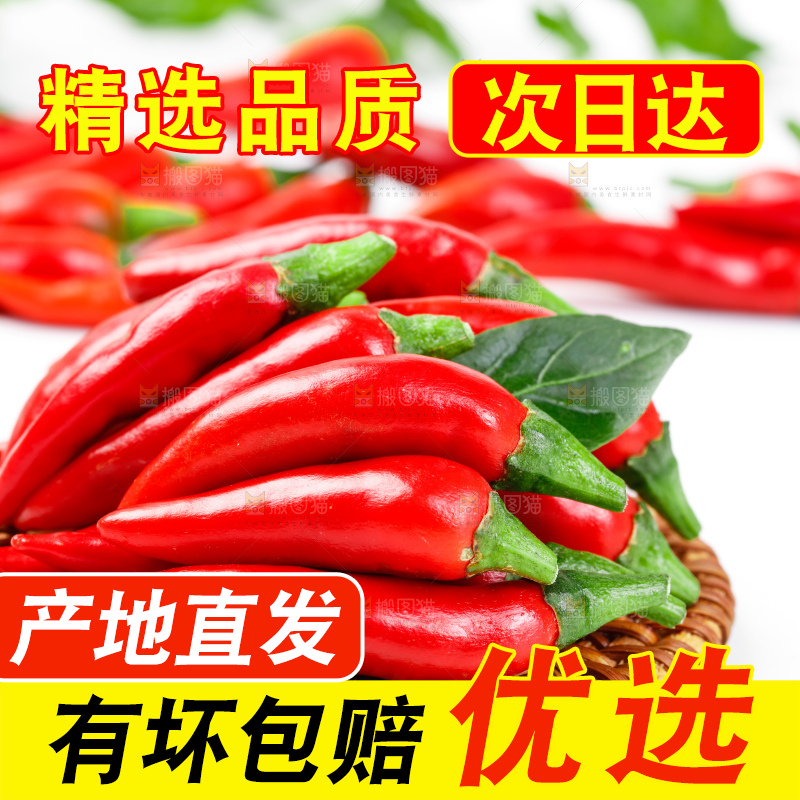 白底上摆放着广西小米椒