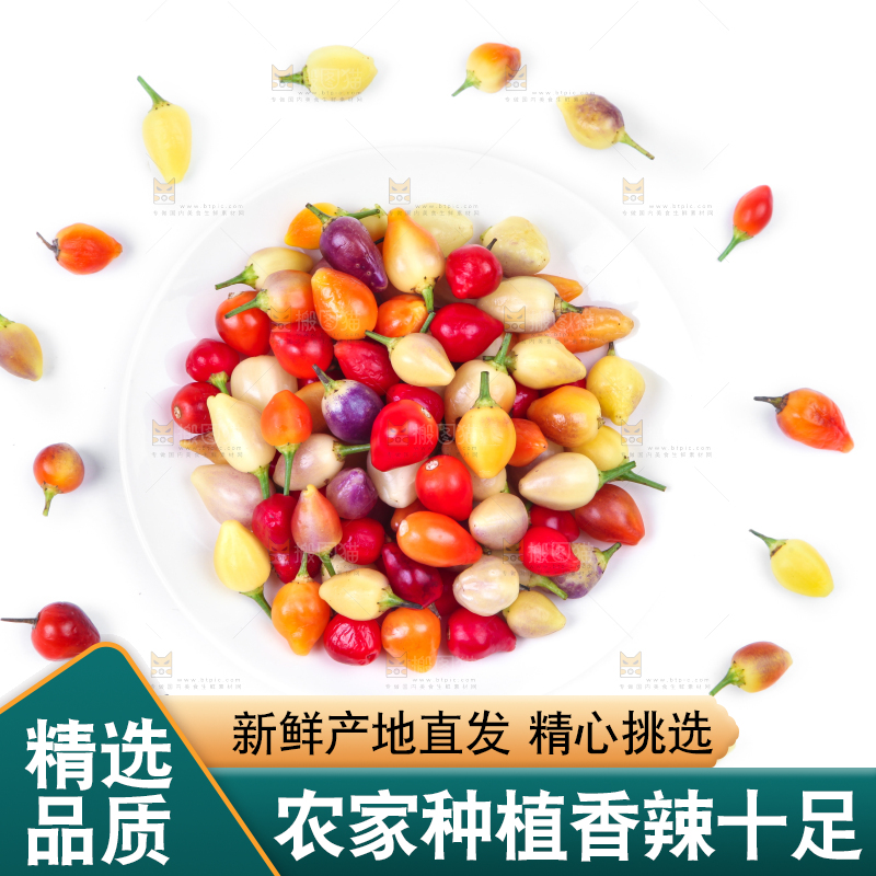 白底上的七彩椒