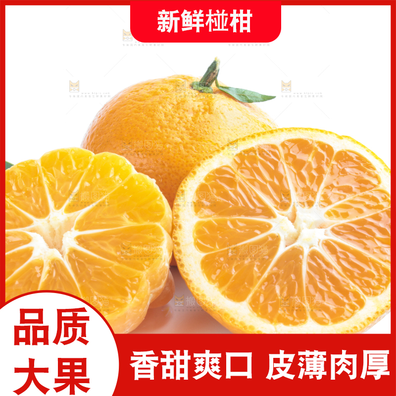 白底上放着四川椪柑