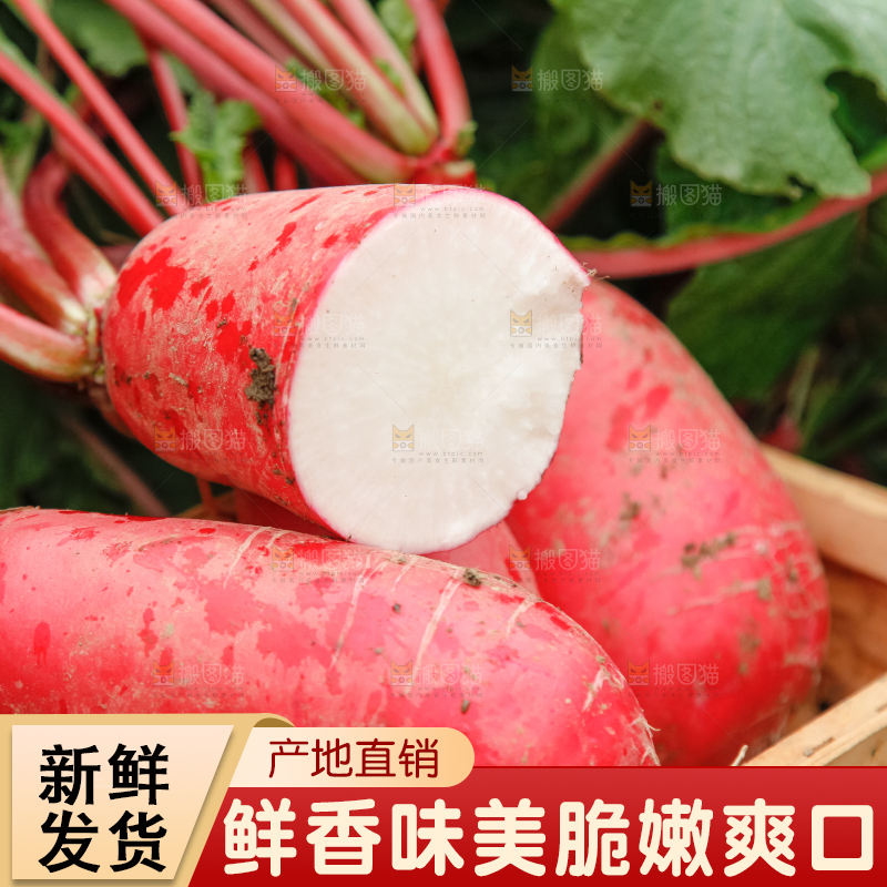 篮子里装着红萝卜