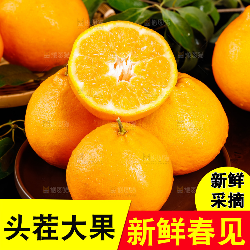 深底上的春见柑桔