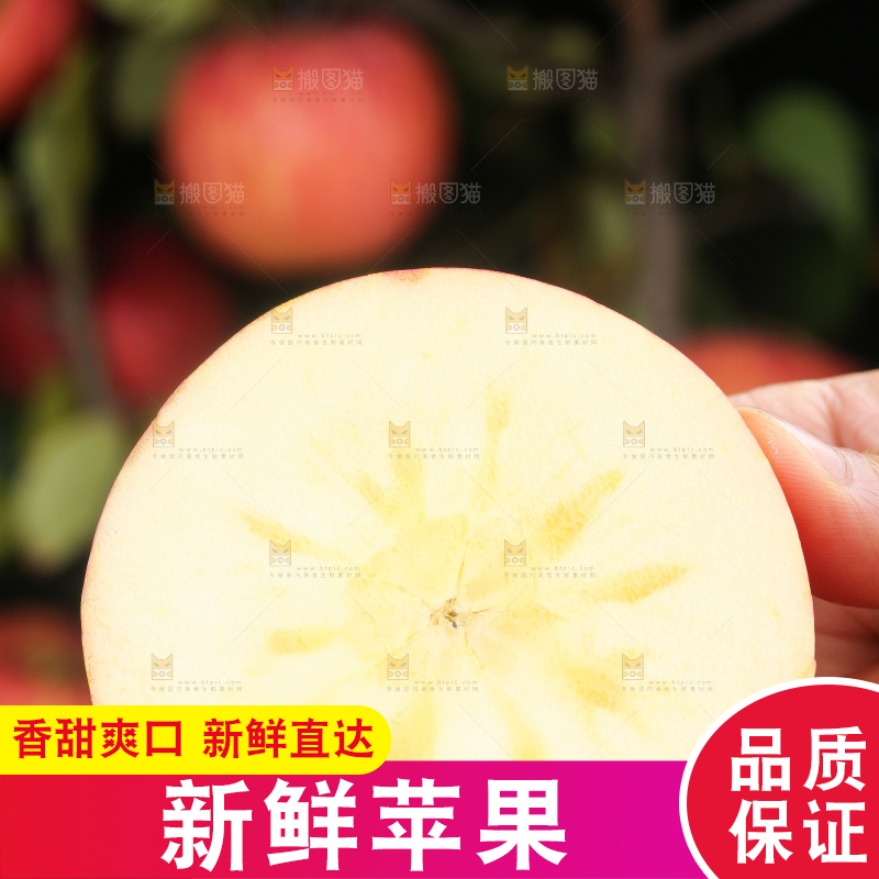 手里拿着阿克苏冰糖心苹果