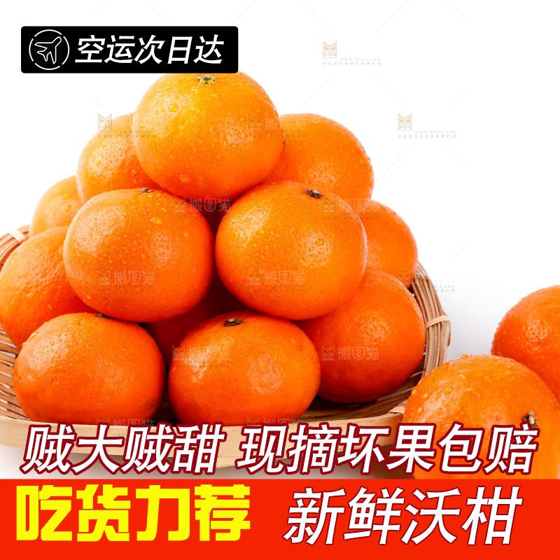 篮子里的贵妃柑