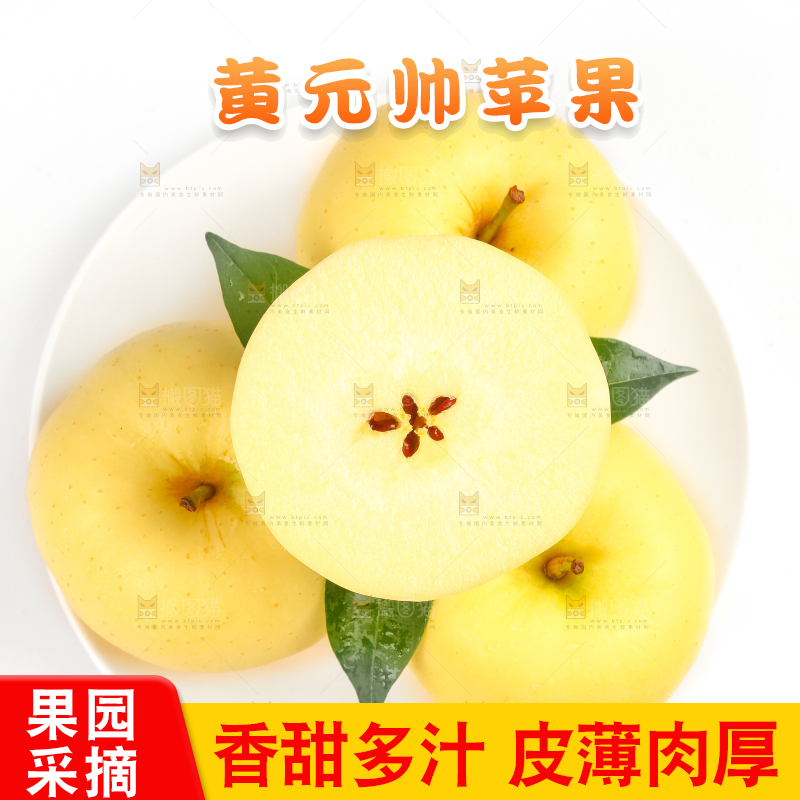 白底上摆放着黄金帅