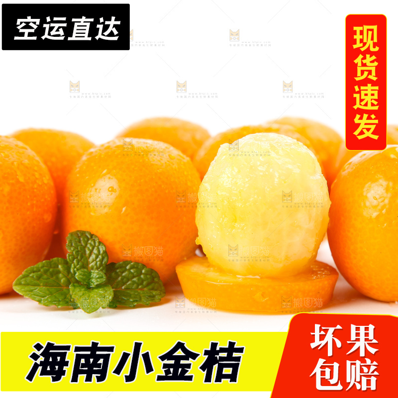 白底上的融安小金桔