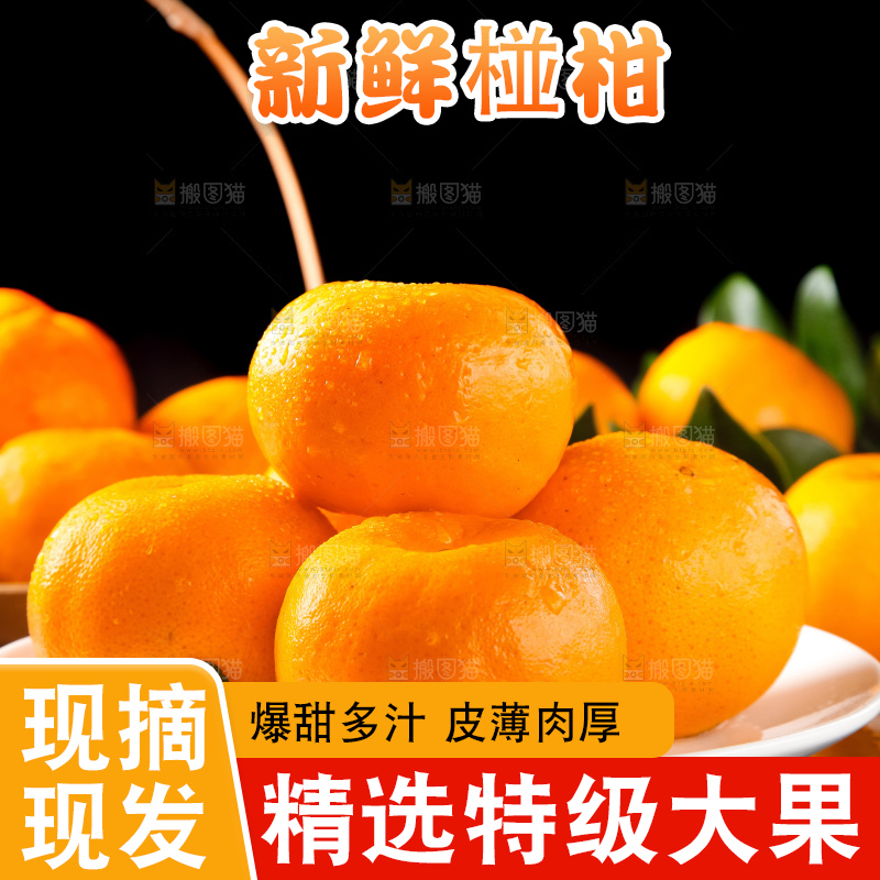 盘子里装着椪柑橘