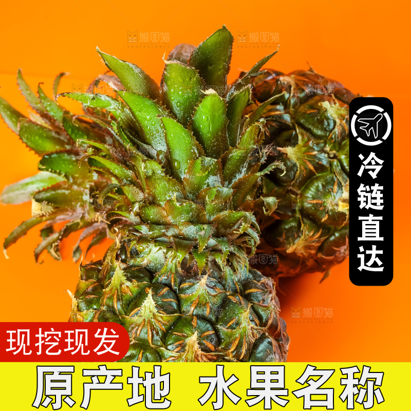 黄底上的泰国迷你小菠萝