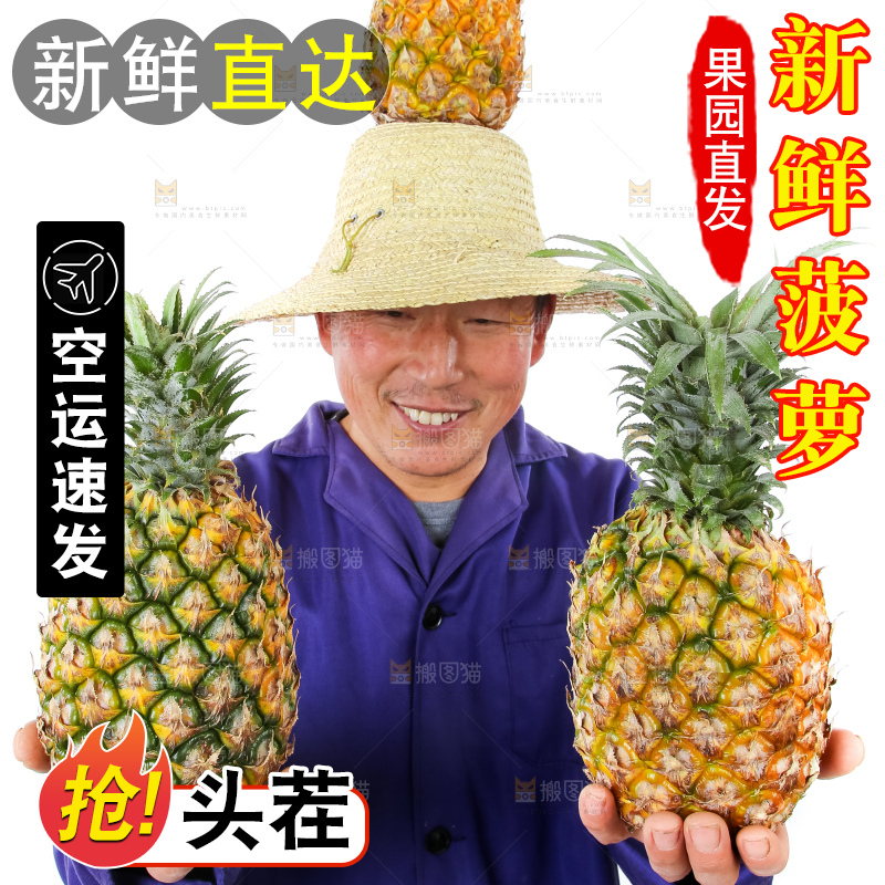 农民手里拿着香水菠萝