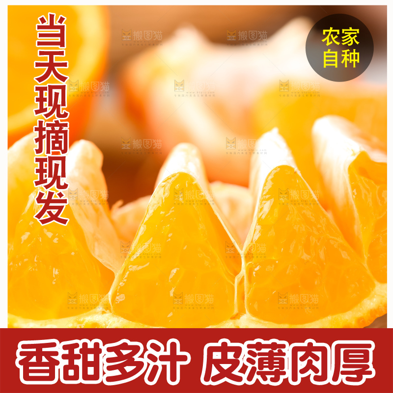木板上放着四川丑柑