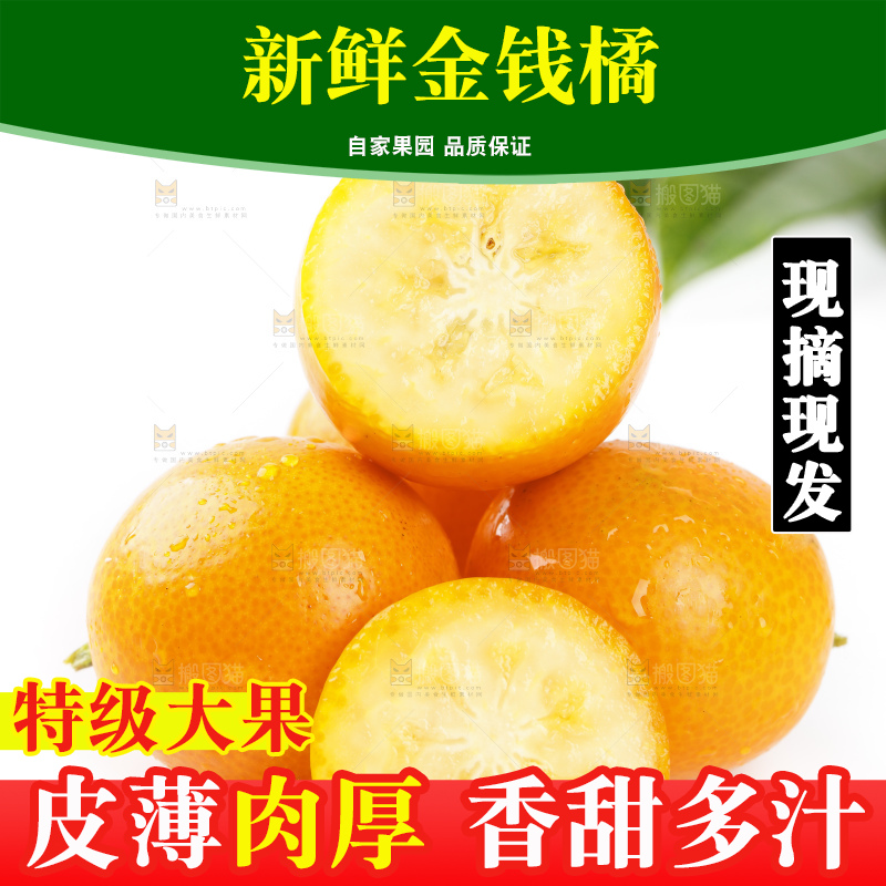 白底上的金桔