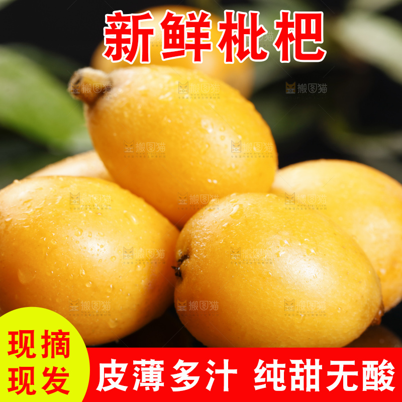 黑底上的米易枇杷