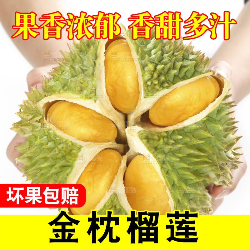 白底上放着泰国金枕榴莲