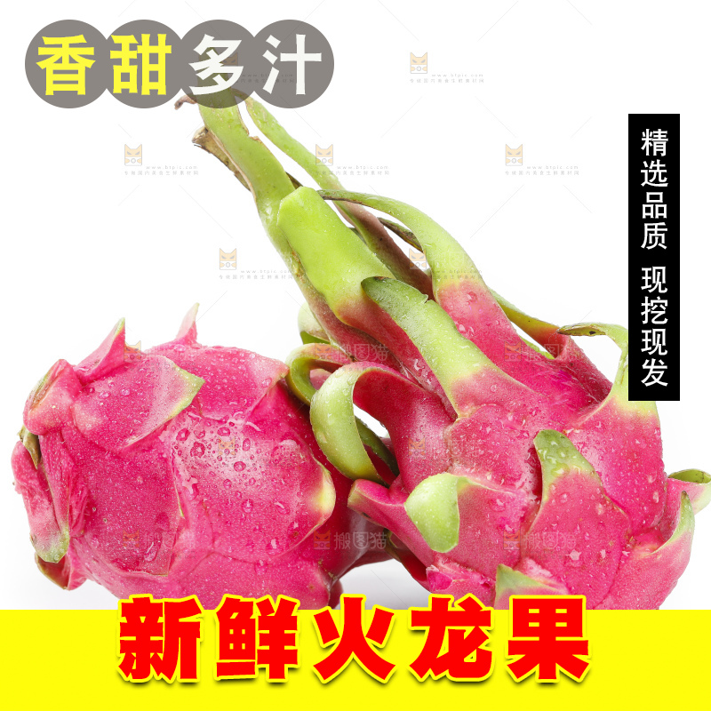 白底上放着新鲜火龙果