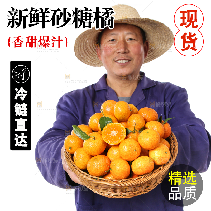 农民手里捧着广西砂糖橘