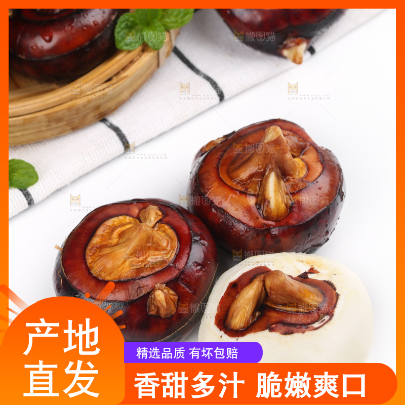 浅底上的马蹄果