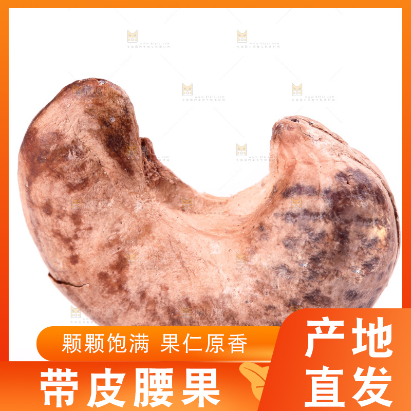 白底上的越南腰果
