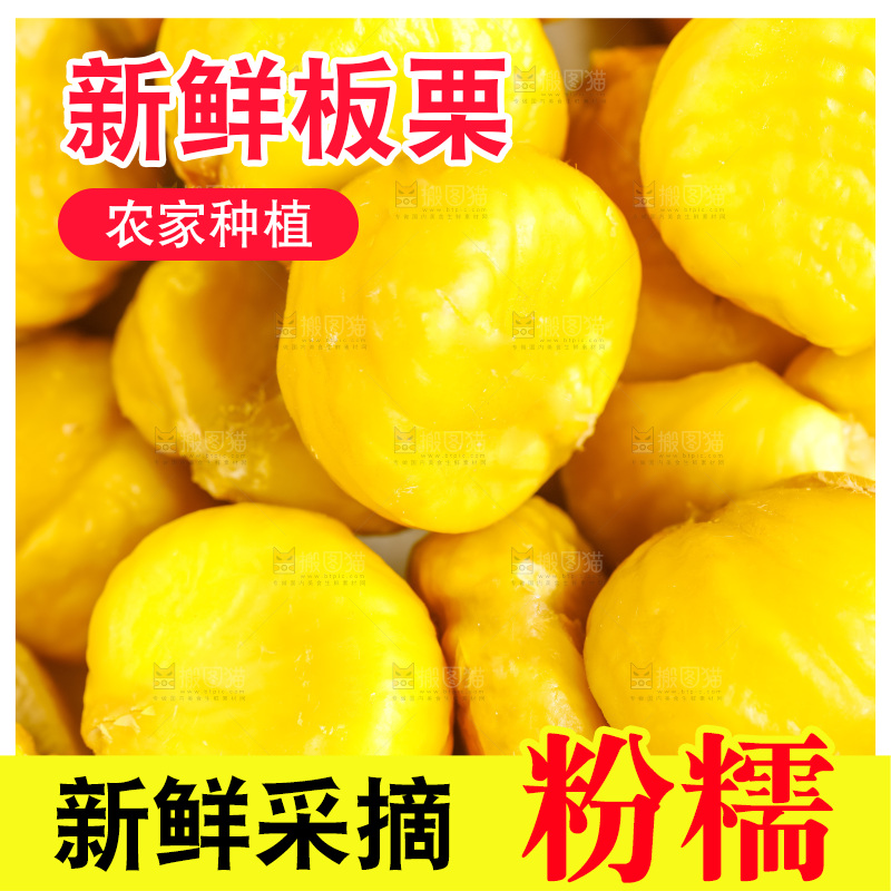 白底上放着毛栗子